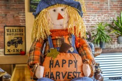 Happy-Harvest-Hendersonville-NC-M-T-Distilling